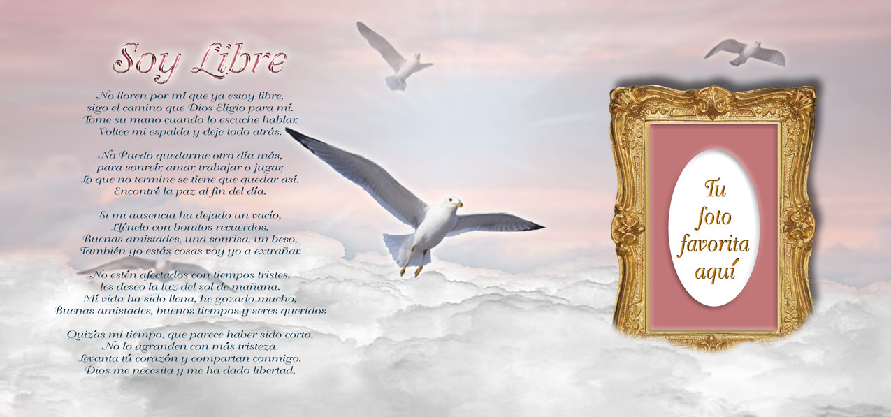 Soy Libre Pink Clouds (With Verse)